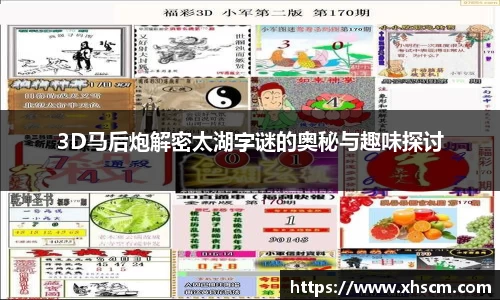 3D马后炮解密太湖字谜的奥秘与趣味探讨